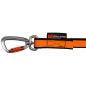 Preview: Non-stop Dogwear Bungee Leash 2019 02