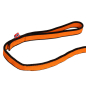 Preview: Non-stop Dogwear Bungee Leash 2019 04