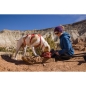 Mobile Preview: Ruffwear Web Master Harness 000381_Red Sumac_09