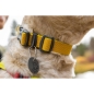 Preview: Ruffwear Hi & Light Hundehalsband_000393_Lichen Green_04