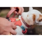 Preview: Ruffwear Hi & Light Dog Collar _000393_Salmon Pink_04
