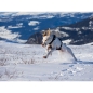 Preview: I-DOG Harness RAIDLIGHT_000427_07