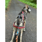 Preview: Dragråttan Stick Harness_000472_01