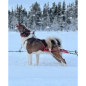 Preview: Dragråttan Stick Harness_000472_04