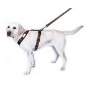 Preview: ManMat Smart dog harness_orange_000444_02