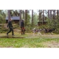 Mobile Preview: Mit Hund laufen gehen Human Dog Adventure Camp in Schweden