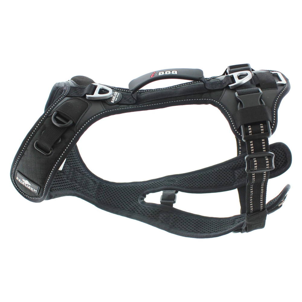 I-DOG Harness RAIDLIGHT_000427_02