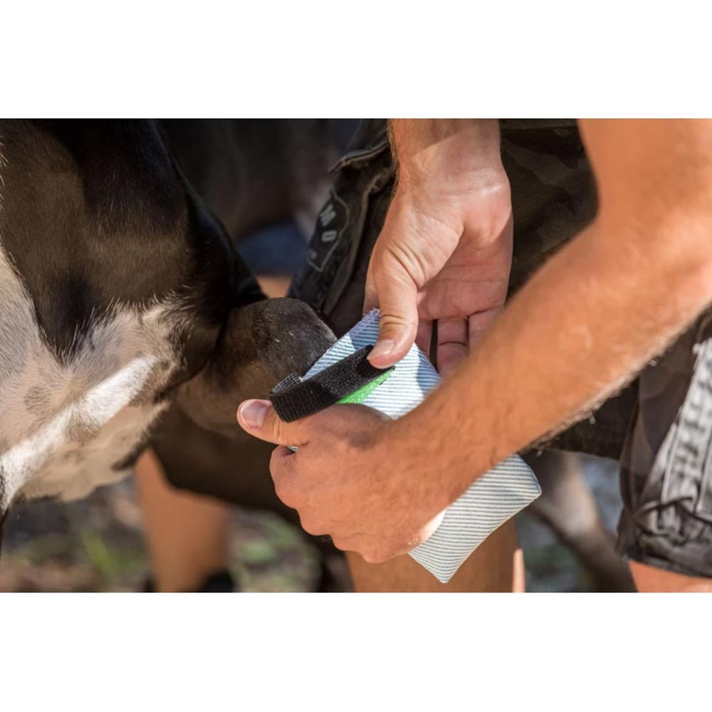 Preview: Inlandsis Booties Amor Preview: Inlandsis Booties Amor_000466_blau_02