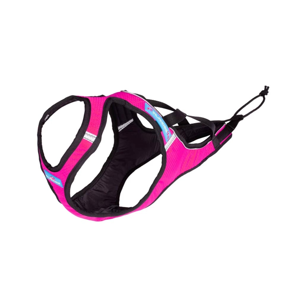 Inlandsis Storm harness_000467_pink_01