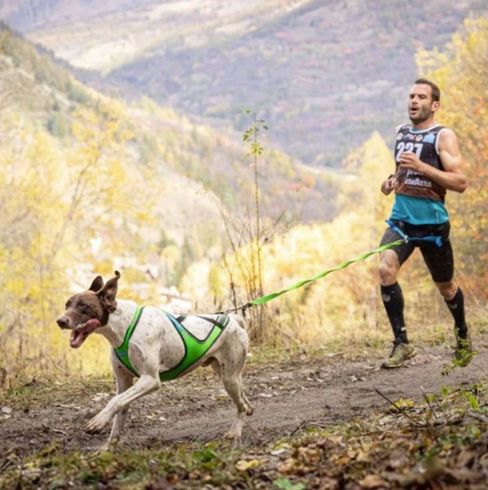 Inlandsis Aircross 2.0 Canicross Belt 000478 - Image 09