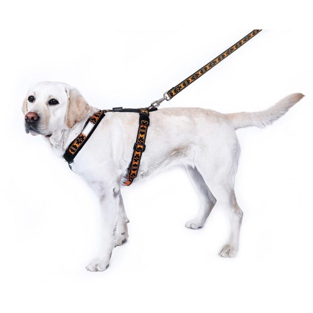 ManMat Smart dog harness_orange_000444_02