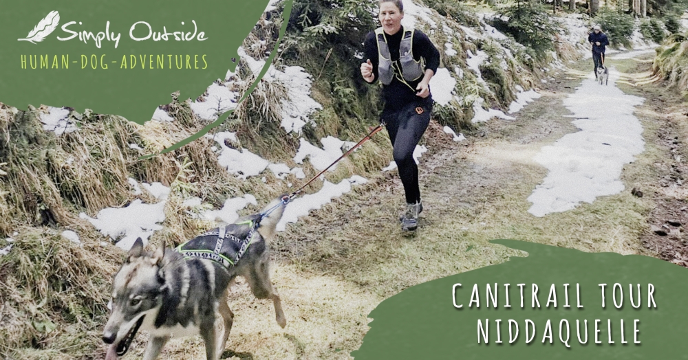 Winter Canitrail Tour - Niddaquelle mit Kopfleuchte