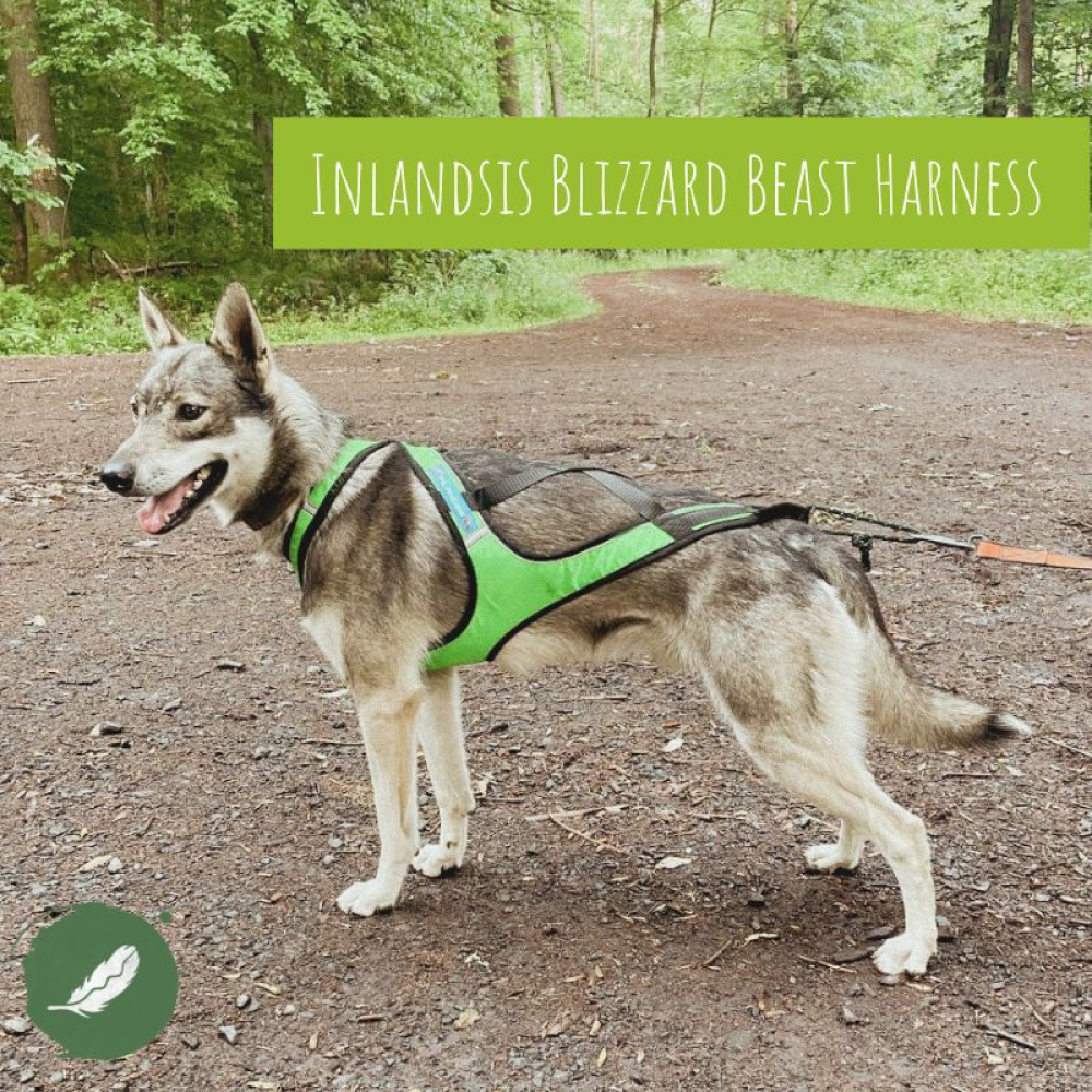 Blizzard Beast Harness V2 00275 green_01