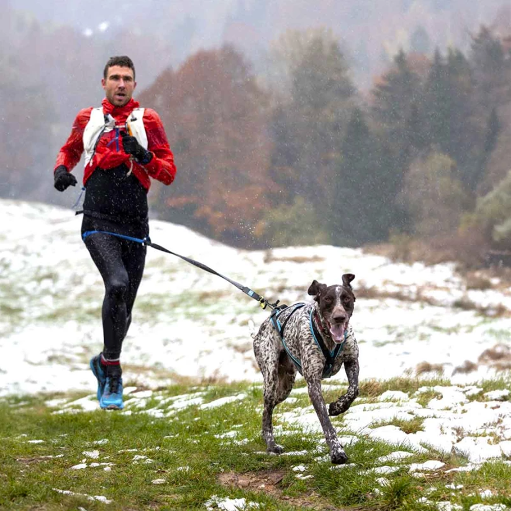 Inlandsis Aircross 2.0 Canicross Belt 000478 - Image 01