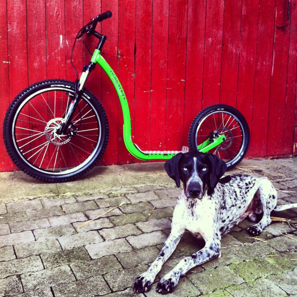 Dog Scooter XH9 XC Offroad