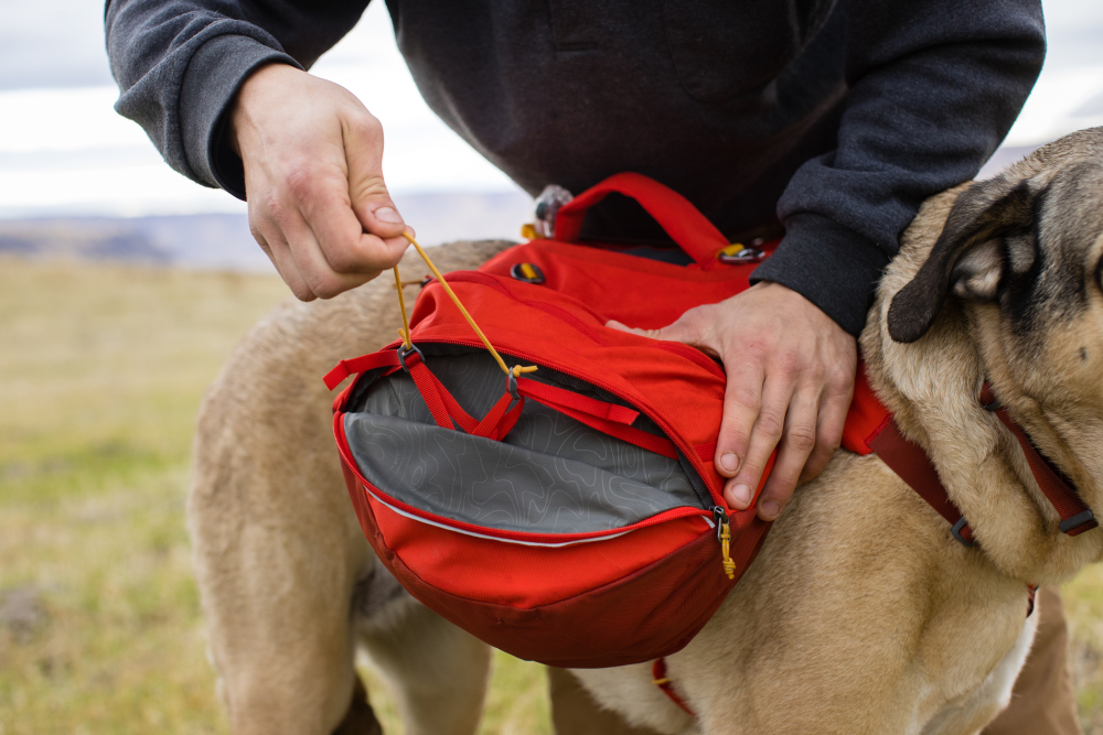Ruffwear Palisades Pack Hundepacktaschen 2021 000144_03