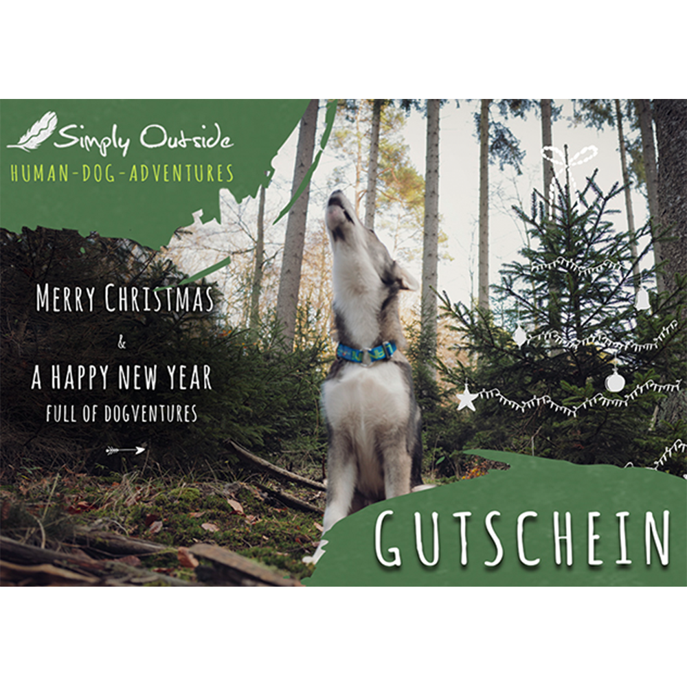 Voucher "Merry Christmas"