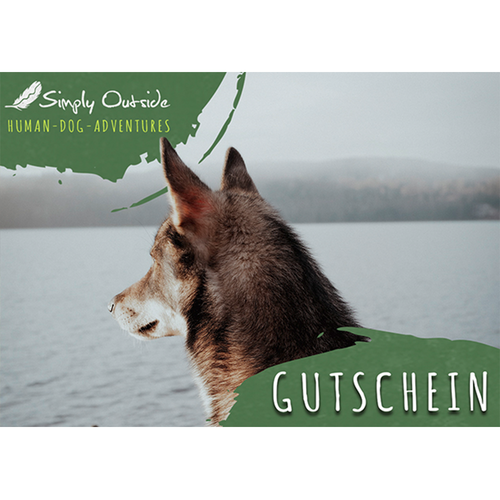 Voucher "Husky"