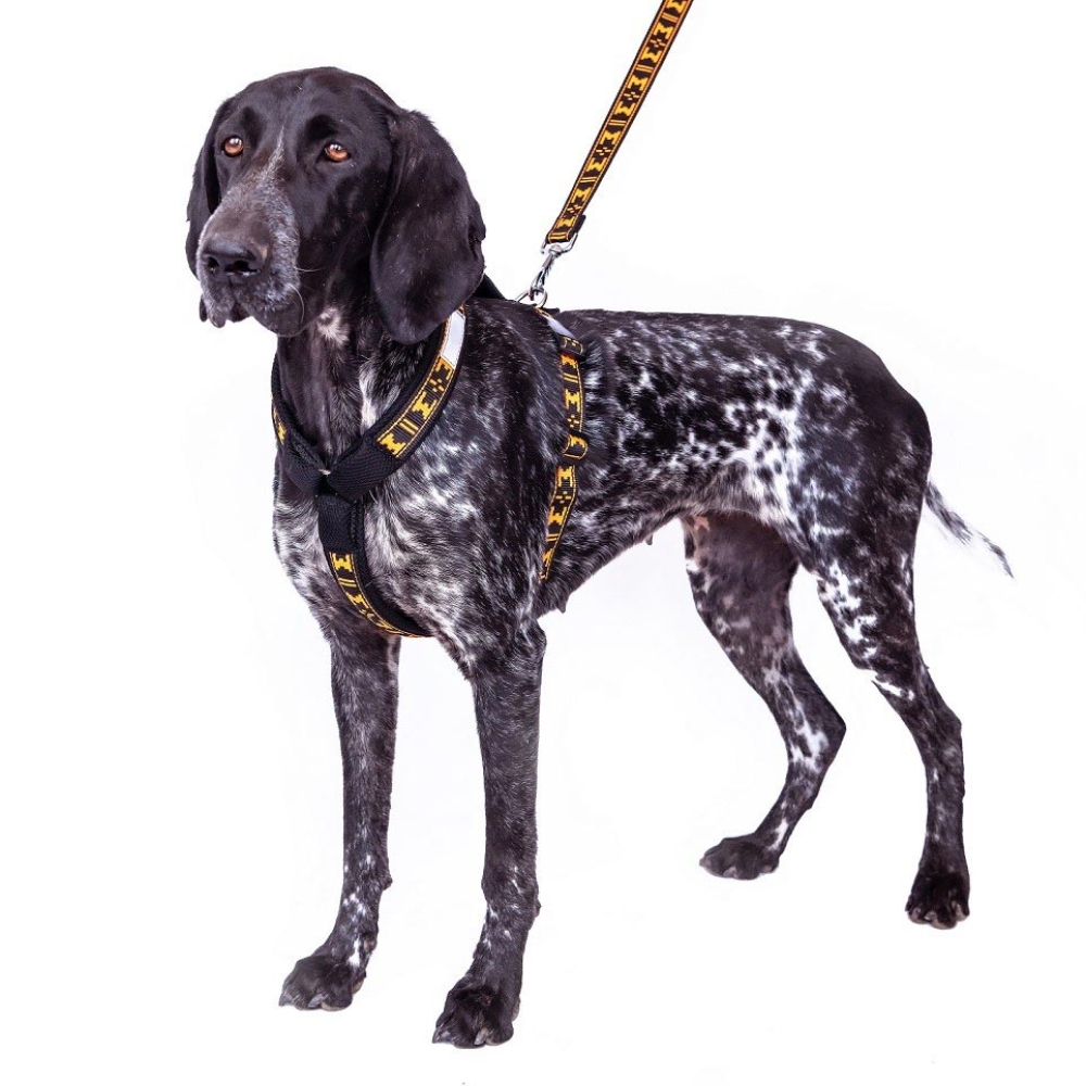 ManMat Smart dog harness_orange_000444_03