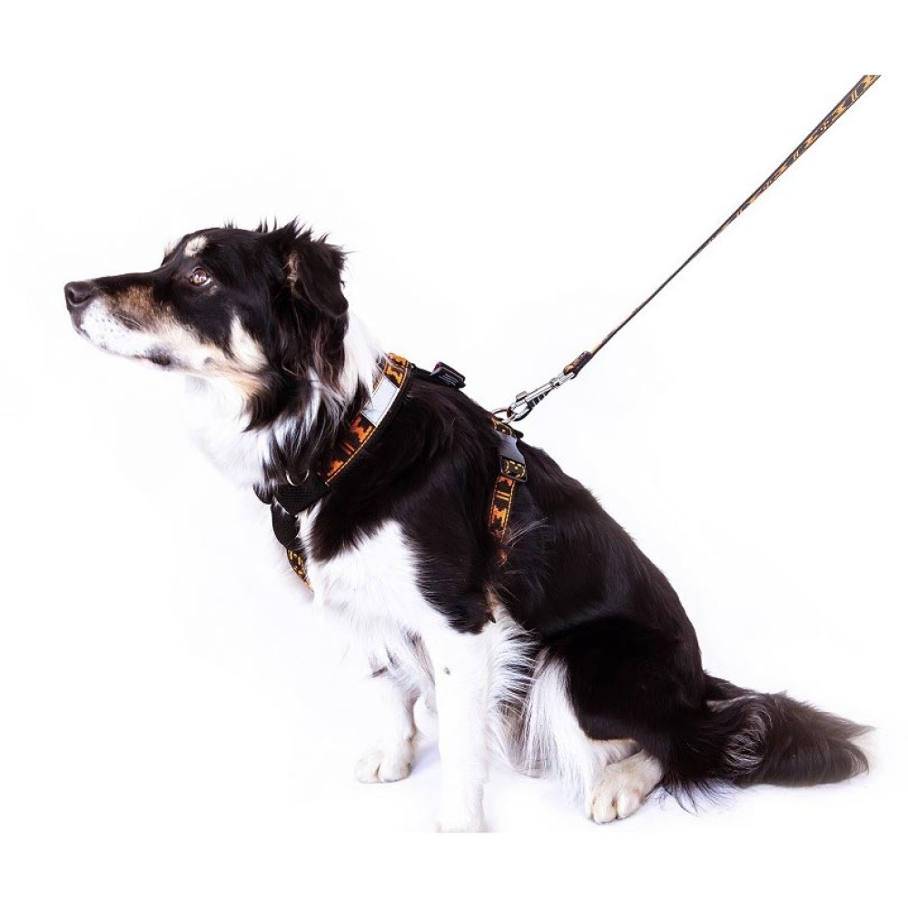 ManMat Smart dog harness_orange_000444_04