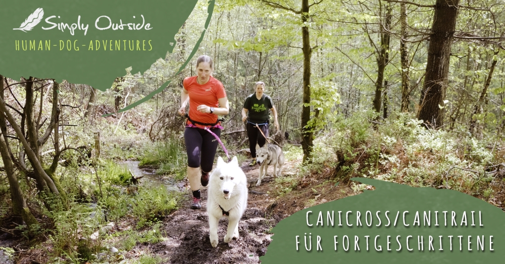 Canicross/Canitrail Workshop für Fortgeschrittene